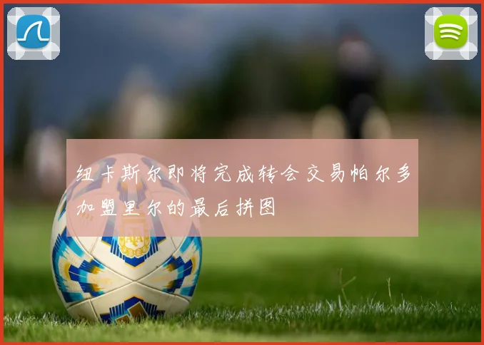 纽卡斯尔即将完成转会交易帕尔多加盟里尔的最后拼图